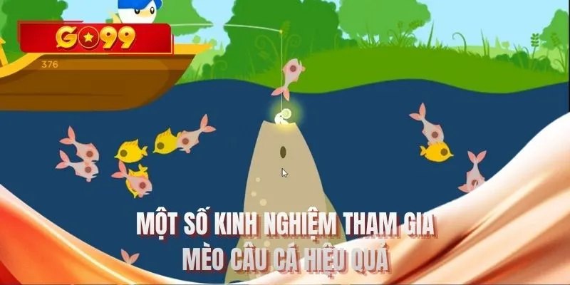 Một số kinh nghiệm tham gia mèo câu cá hiệu quả