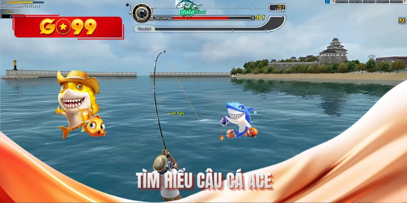 Tìm hiểu câu cá ACE